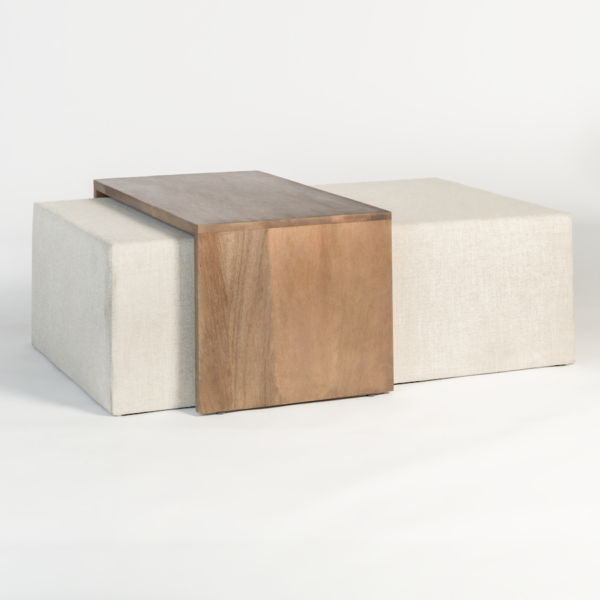 Asher Ottoman Online in Houston | BeBoldFurniture