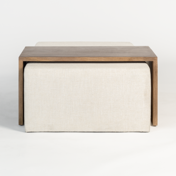Asher Ottoman Online in Houston | BeBoldFurniture