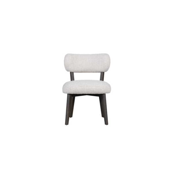 Jaeger Dining Chair | BeBoldFurniture