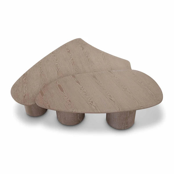 Rhema Washed Ash Nesting Coffee Table Set | BeBoldFurniture