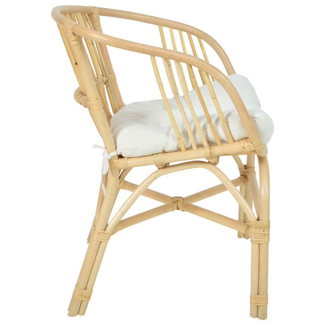 Dorina Dining Chair | BeBoldFurniture