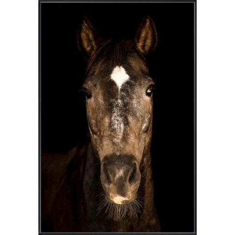 Horse in Town IV | BeBoldFurniture 