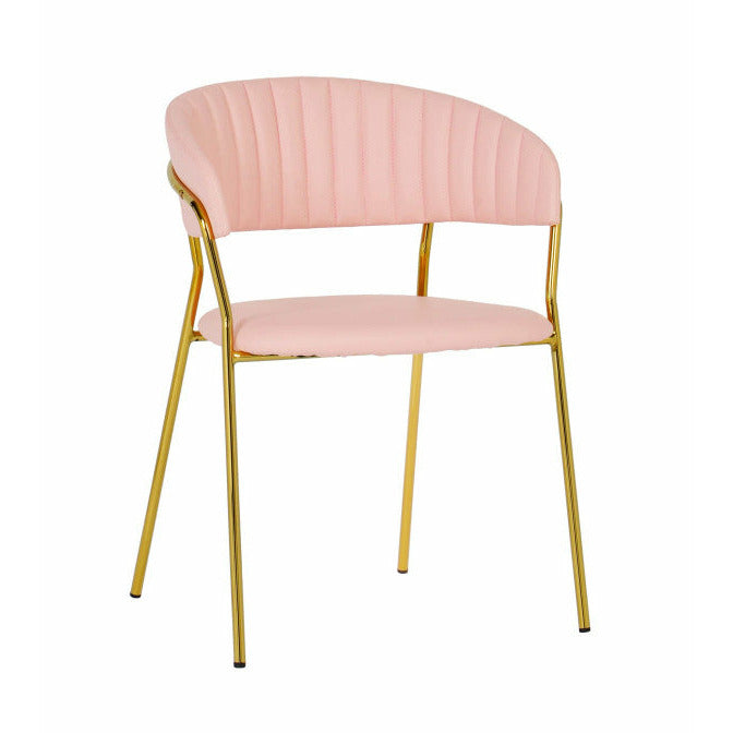Padma Blush Vegan Leather Chair (Set of 2) - Be Bold Furniture